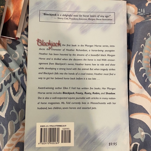 Blackjack: Dreaming ofA Morgan Horse by Ellen Feld - Picture 2 of 3